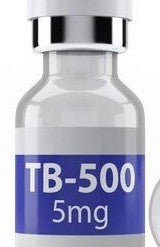 A TB 500